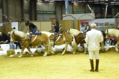 Academie de Voltige equestre Georges Cotrait