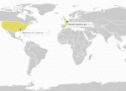 La carte des dernières modifications de Wikipedia