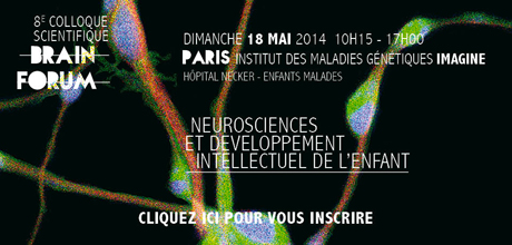 Neurosciences et développement intellectuel de l'enfant au programme du 8e Brain Forum
