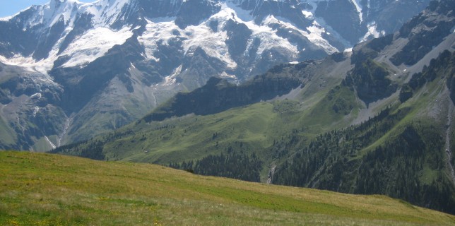 paysage suisse