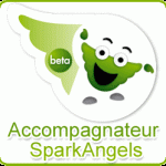 Spark-Angels, l'assistance numérique à domicile