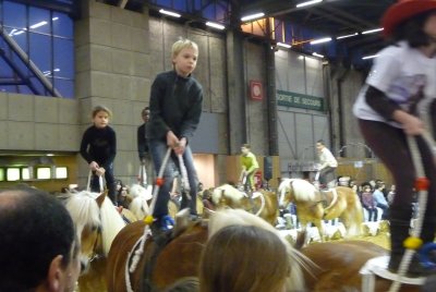 Academie de Voltige equestre Georges Cotrait