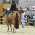 Académie de Voltige Equestre au Salon du Cheval 2009