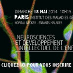 Neurosciences et développement intellectuel de l'enfant au programme du 8e Brain Forum