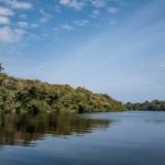 40 jours dans la jungle amazonienne